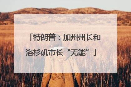 特朗普：加州州长和洛杉矶市长“无能”